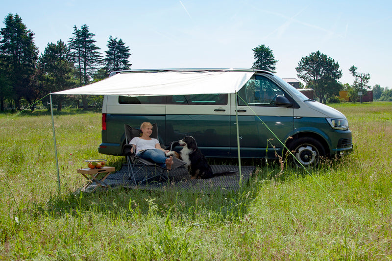 Buszonwering Charly & Charlyne
