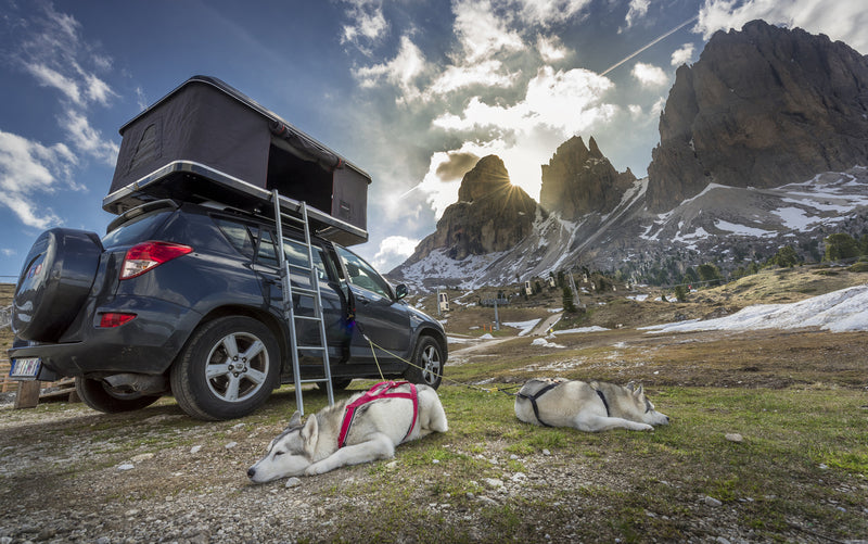 AUTOHOME Hard Shell Daktent MAGGIOLINA Airlander Plus