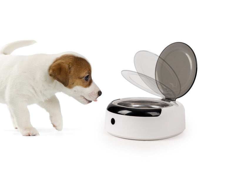 Hundenapf Met Sensor