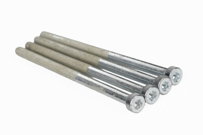 Zyl.schr. M6x120 4 stuks