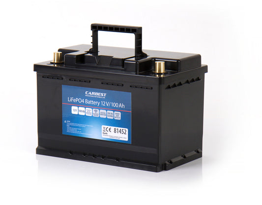 Lithium-ijzerfosfaataccu, 100Ah voor VW T5/T6, BT+verwarmingsfunctie