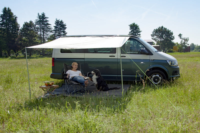 Buszonwering Charly & Charlyne
