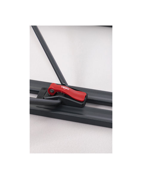 AP/246