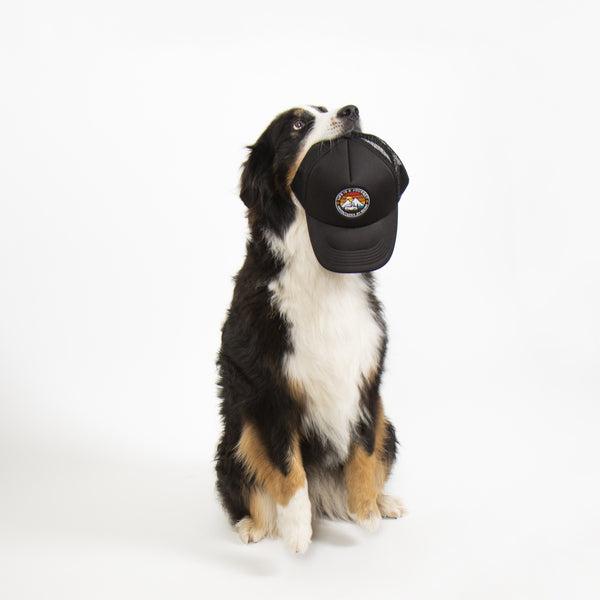 Trucker Cap LIFE IS A JOURNEY, zwart, unisex