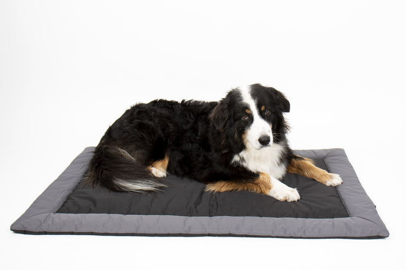 Buitendeken voor honden ABBY