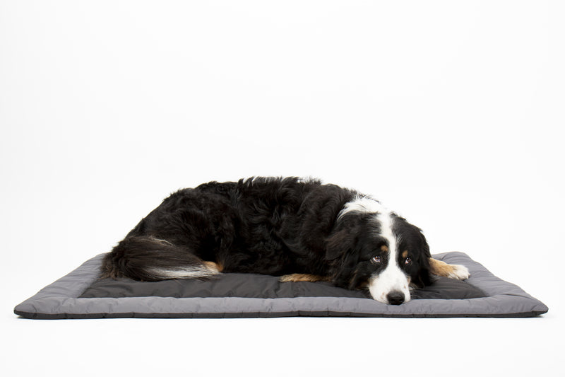 Buitendeken voor honden ABBY