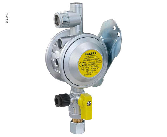 Wandreg.1,5kg/h met P.RVS8